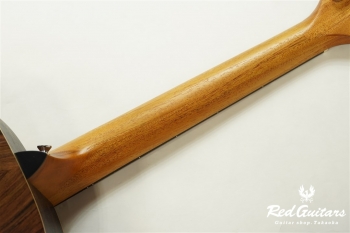 GS Mini-e Rosewood - Natural